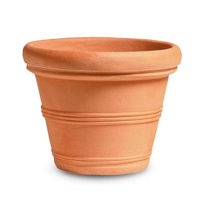 Саксии NICOLI | Саксия Doppio Brodo Liscio NICOLI-R-0145x29